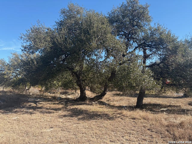 254 Jolie, Spring Branch TX 78070